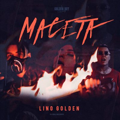 lino-maceta